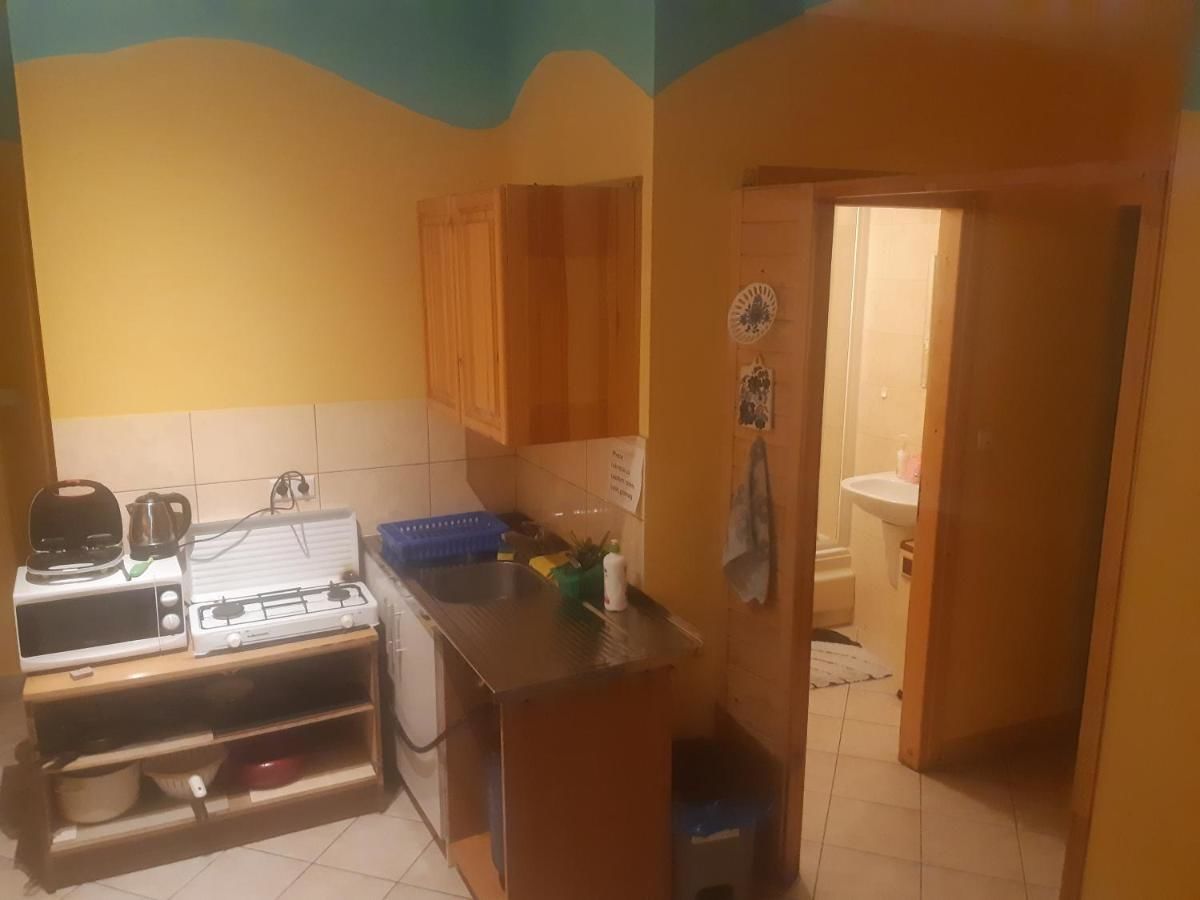 Отели типа «постель и завтрак» Apartamenty i pokoje gościnne Nowita Закопане-18